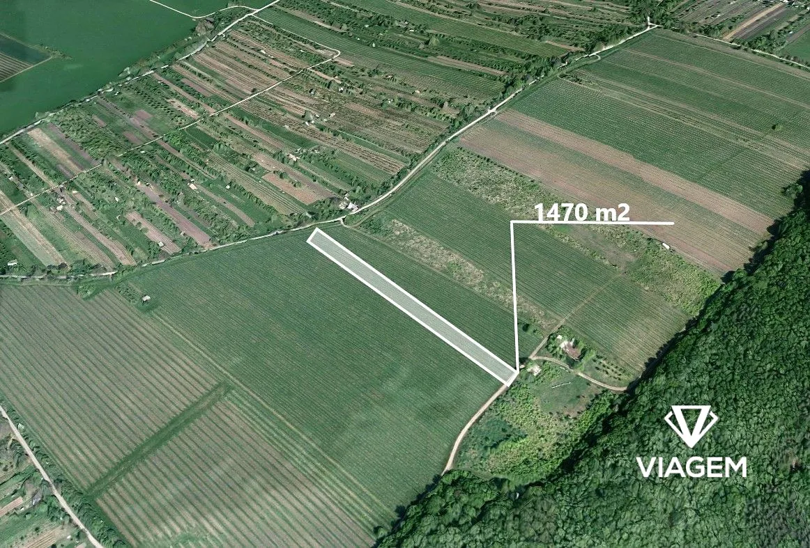 Prodej pole 3361 m²